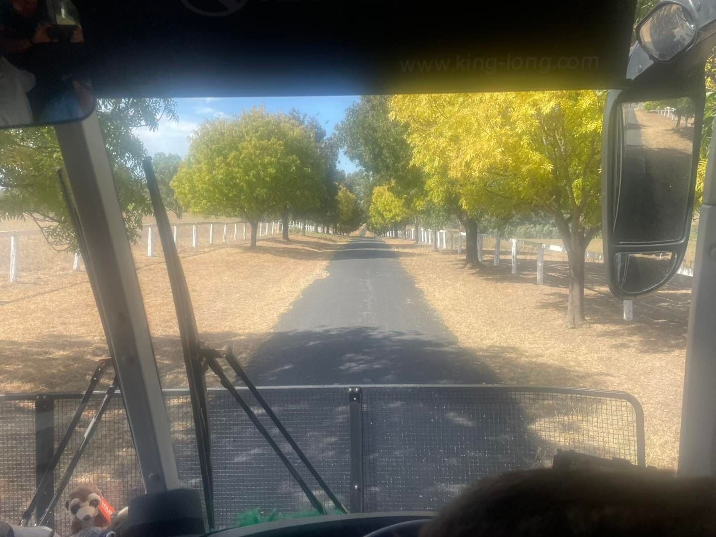 Dubbo Zoo 2025 Image -67de0468c91f2